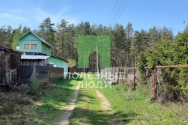 Земельный участок в сосновом бору